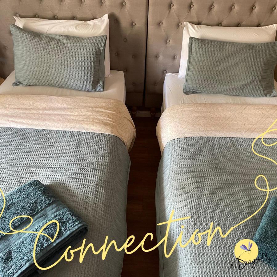 Ki Dragonfly Guesthouse 킹스콧 외부 사진