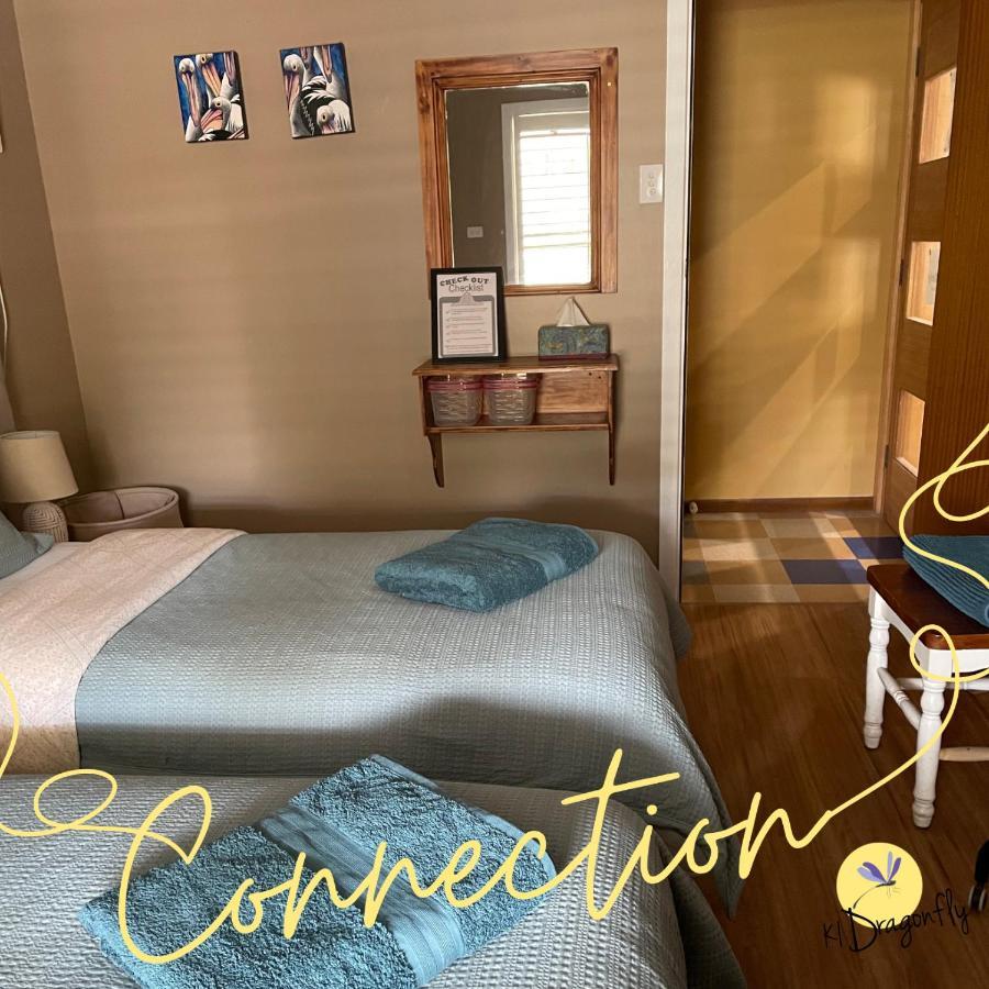 Ki Dragonfly Guesthouse 킹스콧 외부 사진